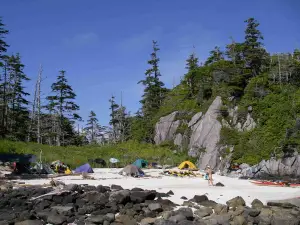 Read more about the article Kayaking the Great Bear Rainforest