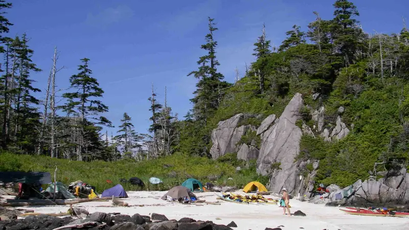 Kayaking the Great Bear Rainforest