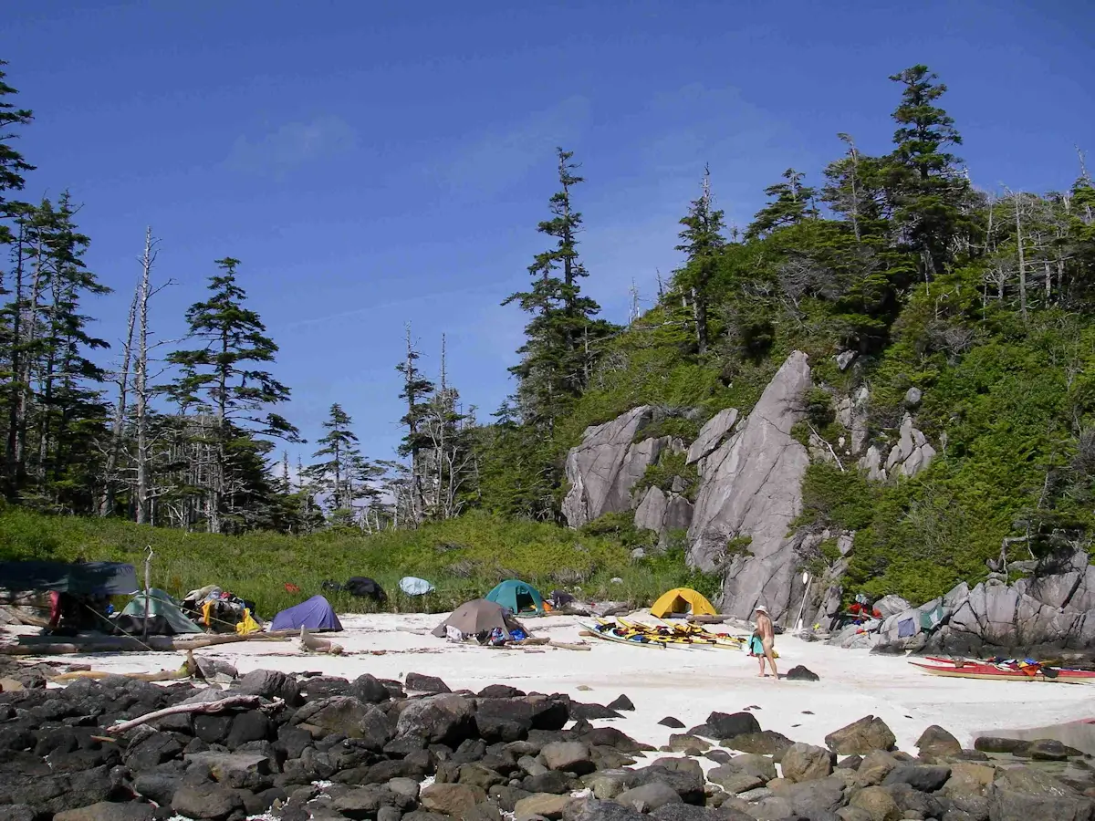 Read more about the article Kayaking the Great Bear Rainforest