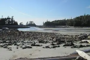 Read more about the article Careless Cove forever after