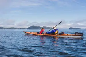 Read more about the article Kayaking Port Hardy & God’s Pocket