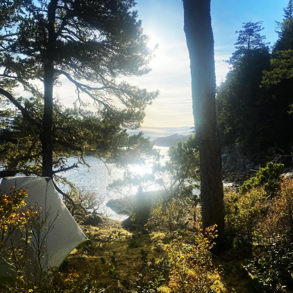 Lady Island campsite