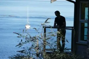 Read more about the article Mayne Island
