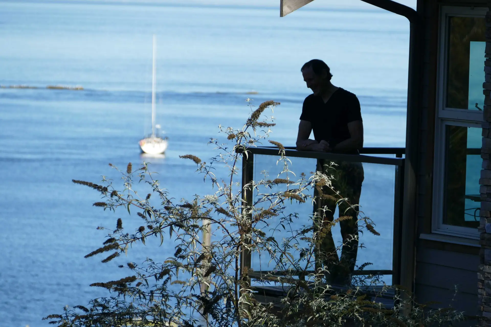 You are currently viewing Mayne Island