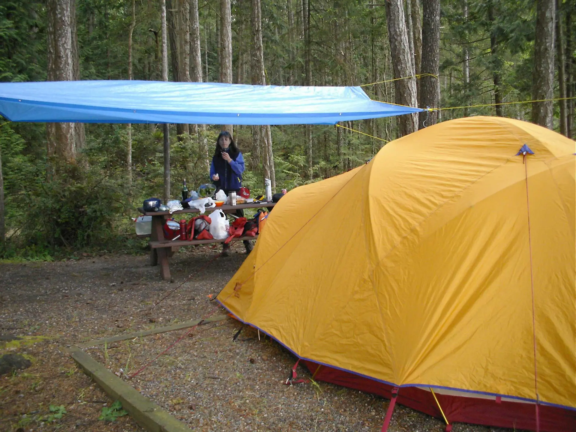 Read more about the article Galiano Island’s Dionisio Provincial Park