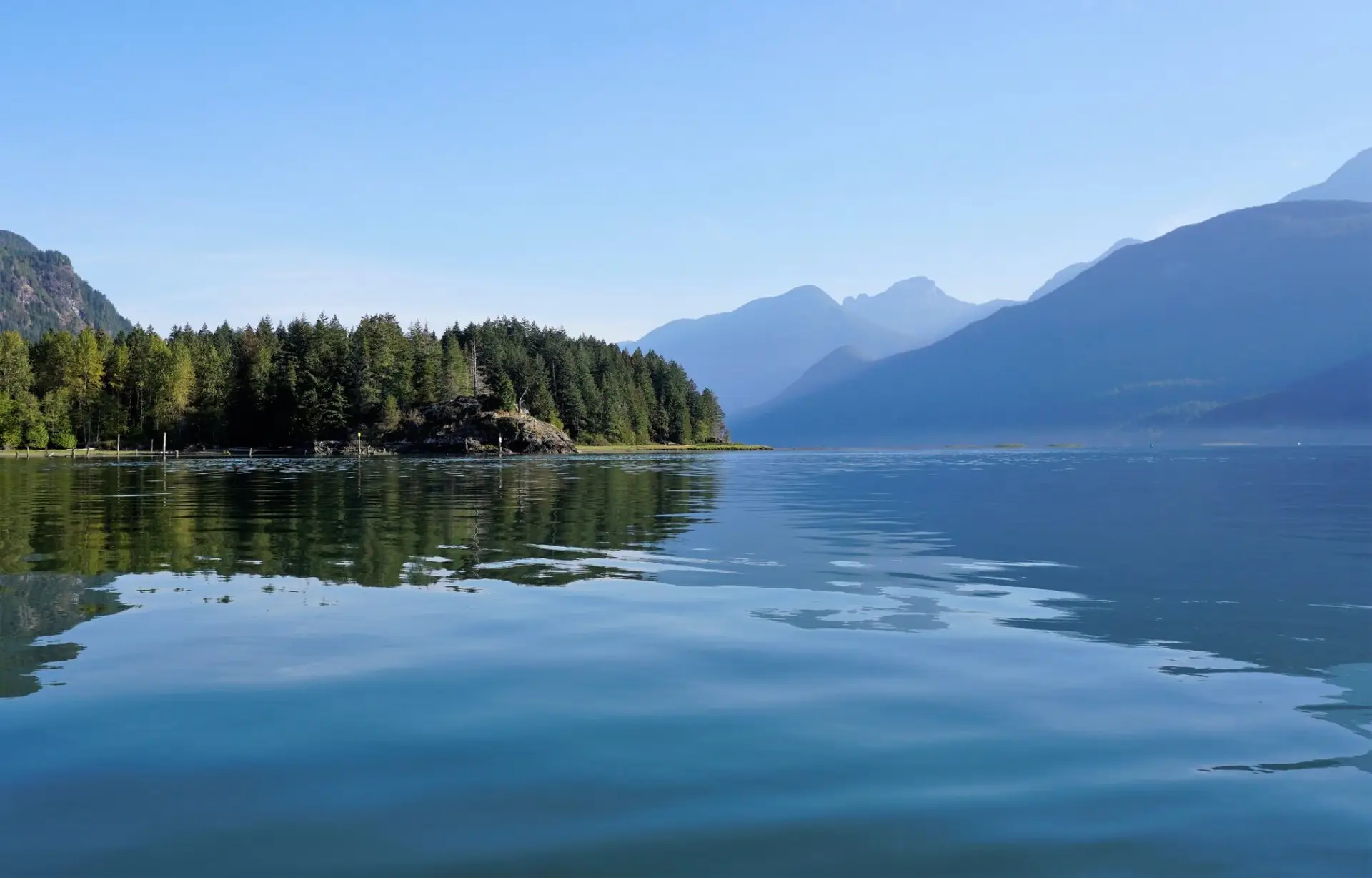 Grant Narrows