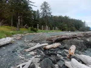 Read more about the article First Nations and the BC Marine Trails
