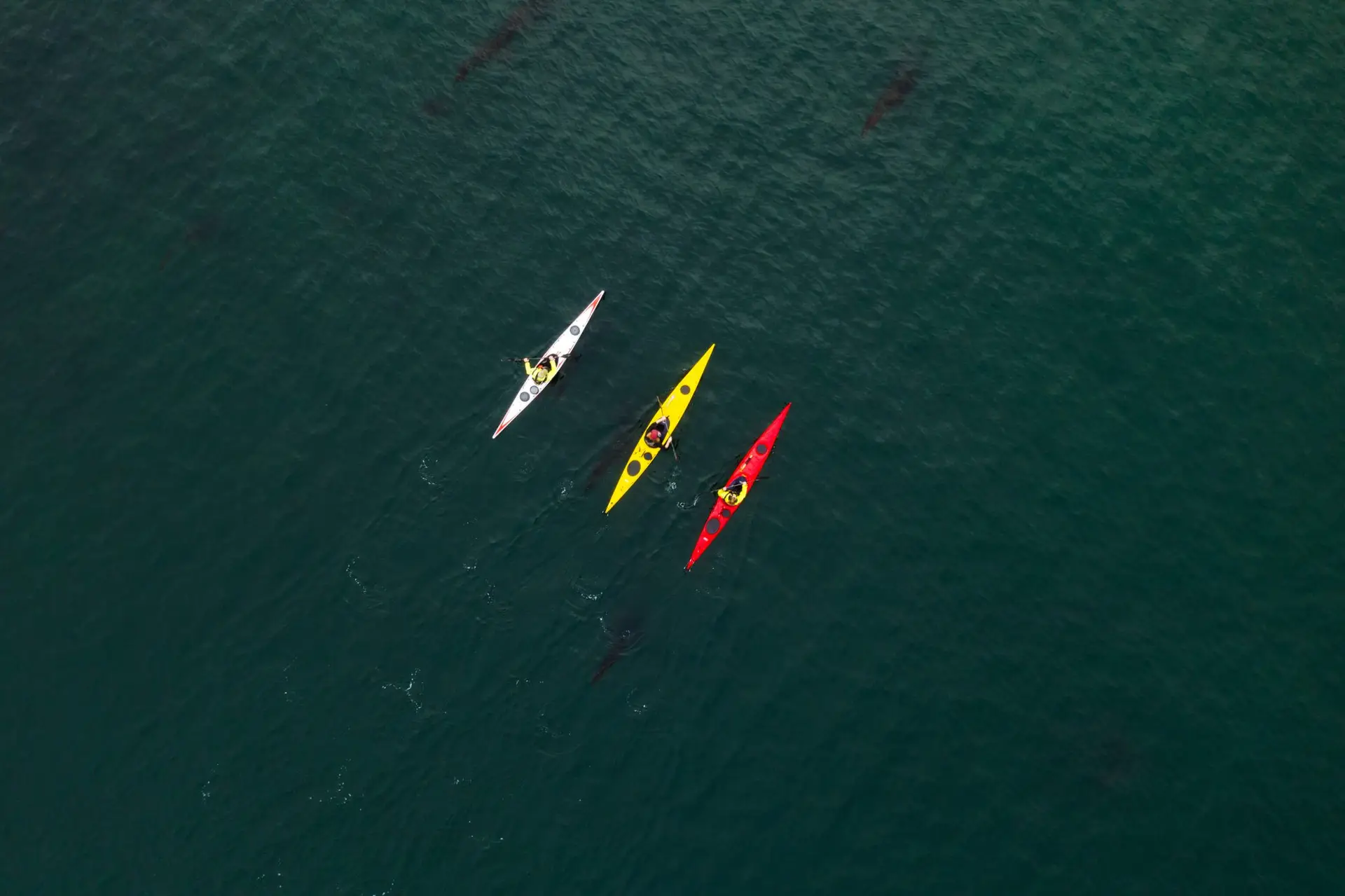 Three kayaks paddling parallel to each other.