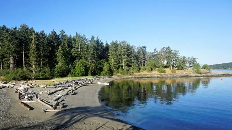 Favourite Day-Paddle Memory