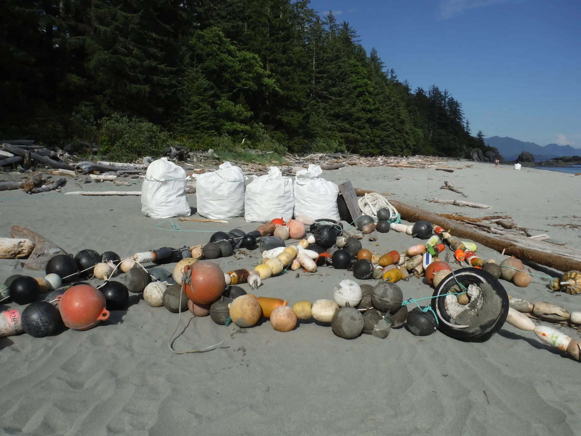 Marine Debris Cleanup on BC coast - volunteer with us