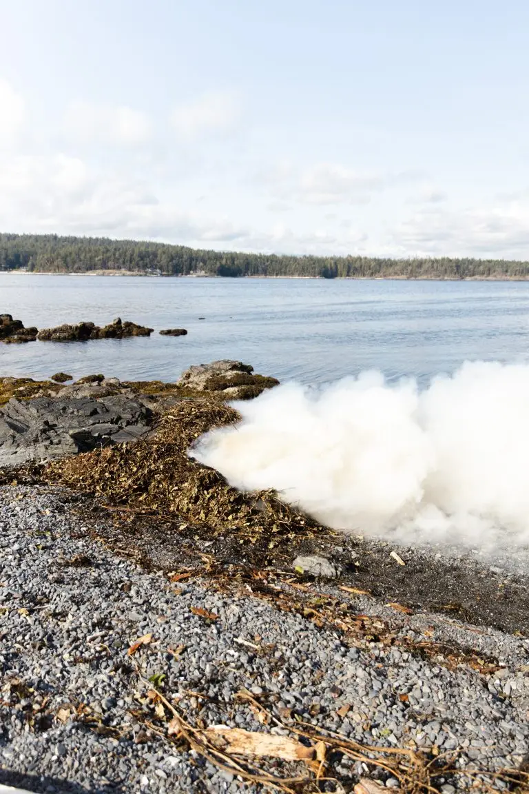 BCMT_GeraldIsland_April23-18
