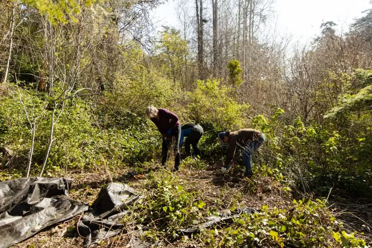 BCMT_GeraldIsland_April23-30