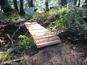 Read more about the article Bain Creek Bridge