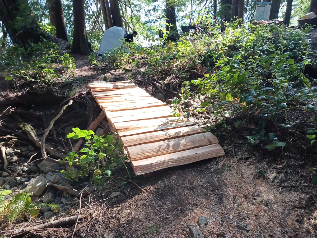 Read more about the article Bain Creek Bridge