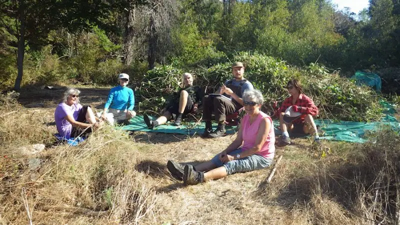 Reflections on Gerald Island