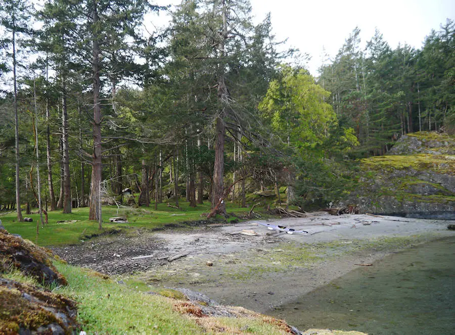 Campsite at Home Bay on Jedediah Island