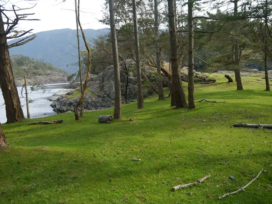 Campsite at Home Bay on Jedediah Island