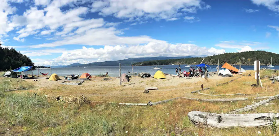 Grassy Point In Summer