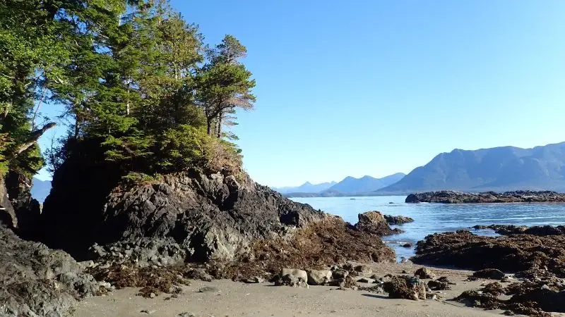 Favourite Day Trip on a Longer Journey: The Remarkable Nuchatlitz Group