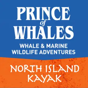 Prince of Whales Wildlife Adventures & North Island Kayaking