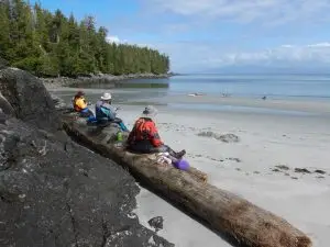 3 kayakers sitting on a log looking at a sandy beach