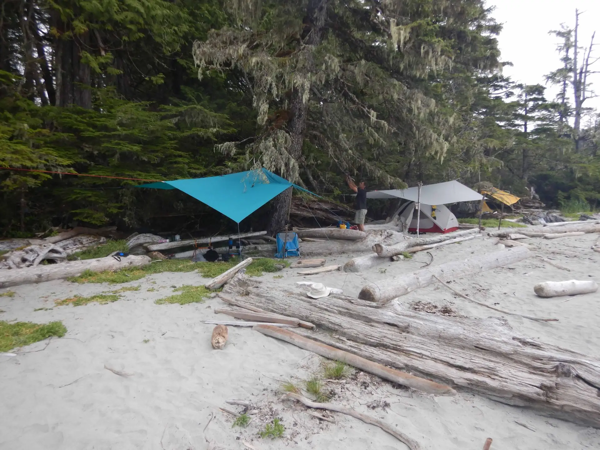 tarps and tents on a sandy beach with forest behind