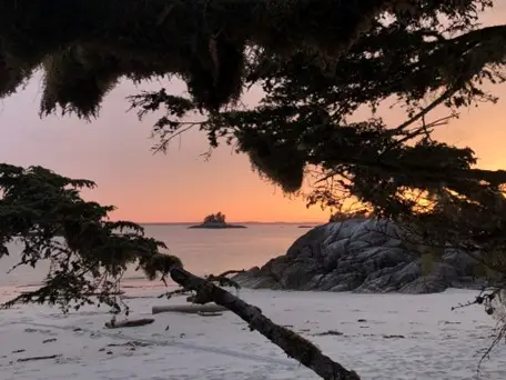 sunset photos with trees and islands