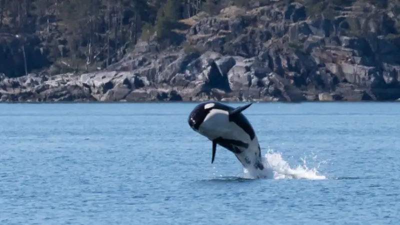 How to take the best photos — Martin Ryer