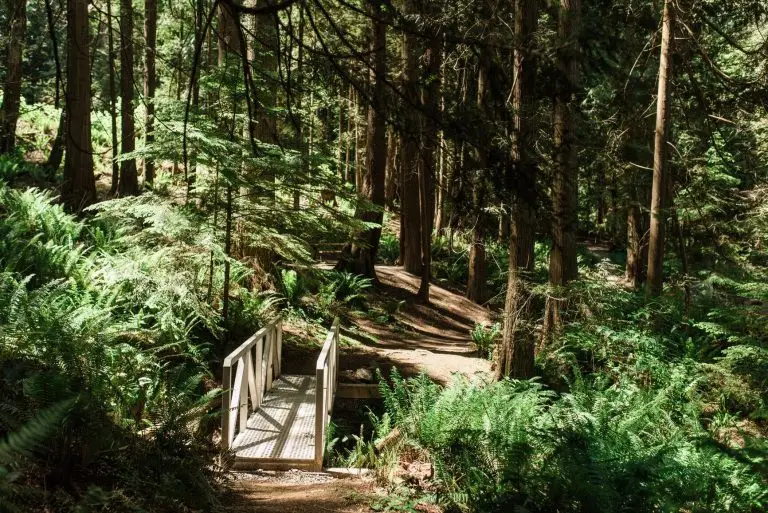 Photo from BC Parks