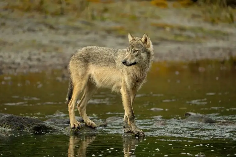 Photo by Finn Steiner