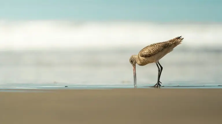 Photo by Finn Steiner