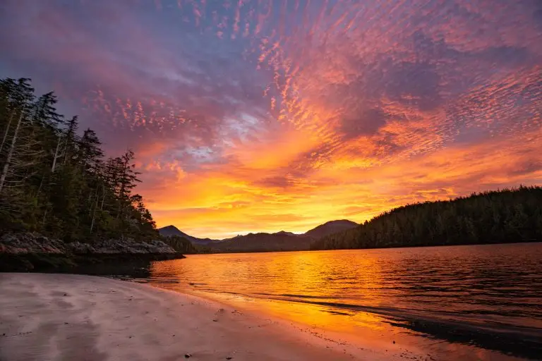 Photo by Finn Steiner
