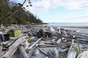 Read more about the article Tides, Triumphs, and Trials: A Kayaking Expedition on BC’s Central Coast from Bella Bella to Port Hardy