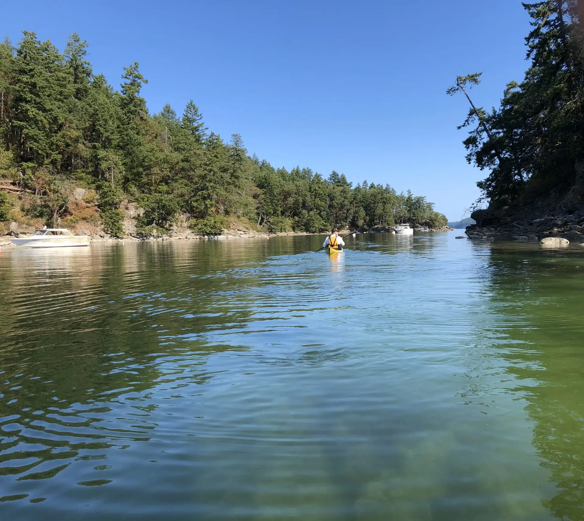 kayak and boats in a narrow waterway with trees on both sides
