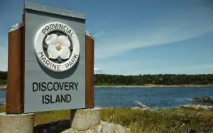 Read more about the article Responsible Paddling in the Chatham and Discovery Archipelago