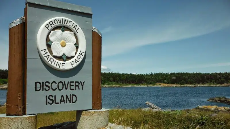 Responsible Paddling in the Chatham and Discovery Archipelago