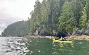 North coastline of Port Renfrew bay