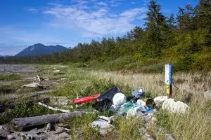 Read more about the article Protected: Banner Year for Site Condition Reports