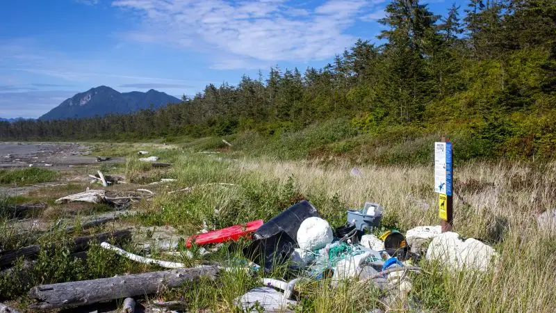 Banner Year for Site Condition Reports