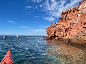 Read more about the article Winter Kayaking in the Sea of Cortez