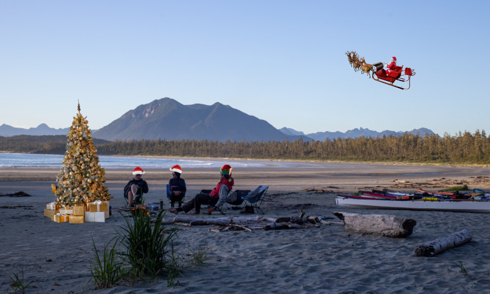 Read more about the article 2025 Holiday Gift Guide