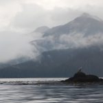 Why Visualizing Ocean Currents is Challenging — And How OceanConnect is Changing Everything