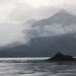 Why Visualizing Ocean Currents is Challenging — And How OceanConnect is Changing Everything