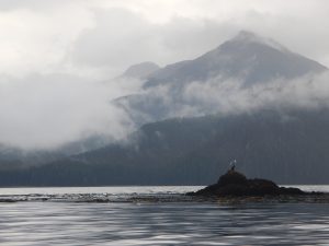 Read more about the article Why Visualizing Ocean Currents is Challenging — And How OceanConnect is Changing Everything