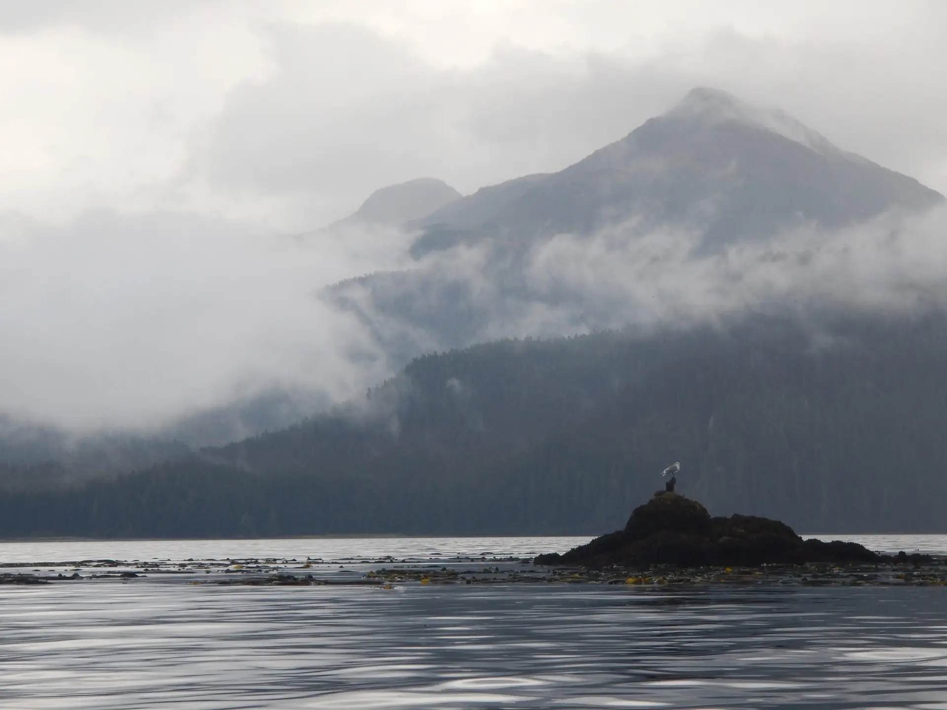 Read more about the article Why Visualizing Ocean Currents is Challenging — And How OceanConnect is Changing Everything