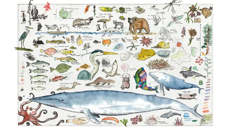 BCMT’s Paddler Personality Test: What Kind of Paddler Are You?