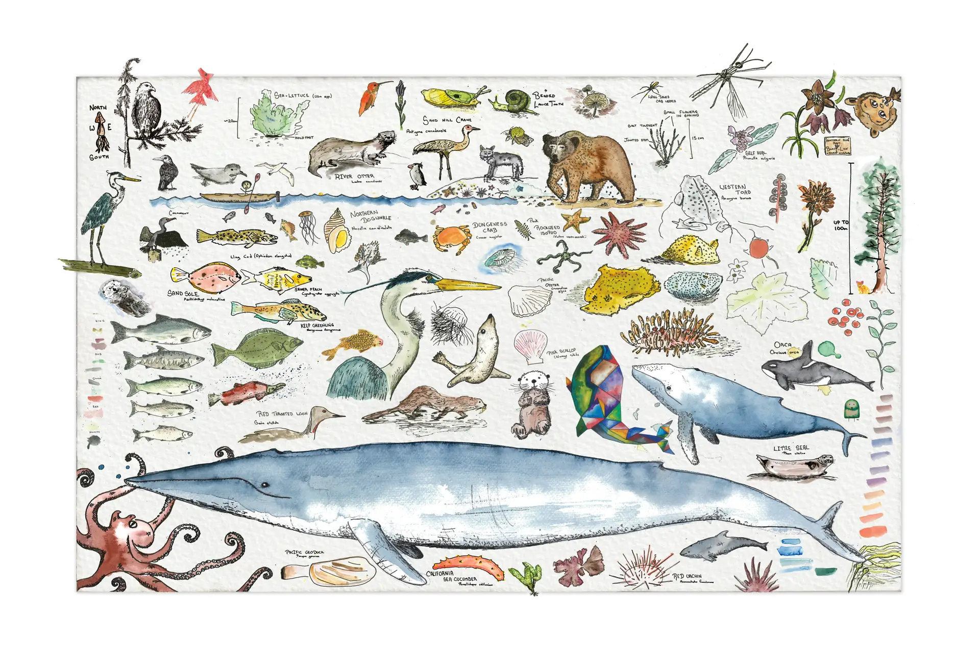 You are currently viewing BCMT’s Paddler Personality Test: What Kind of Paddler Are You?