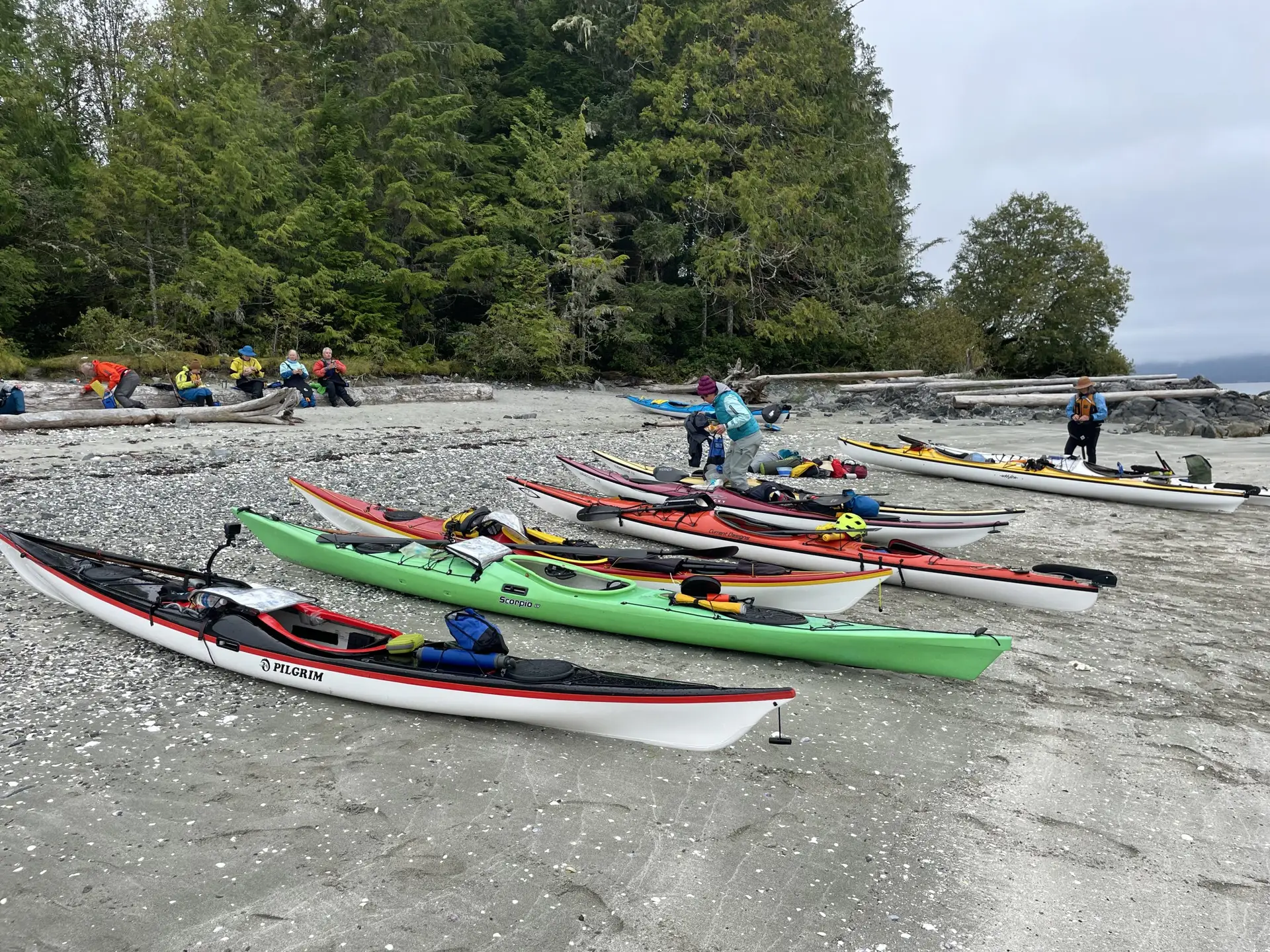 Row of colorful kayaks lined up on a pebbly beach with a forested shoreline in the background, people nearby preparing gear.