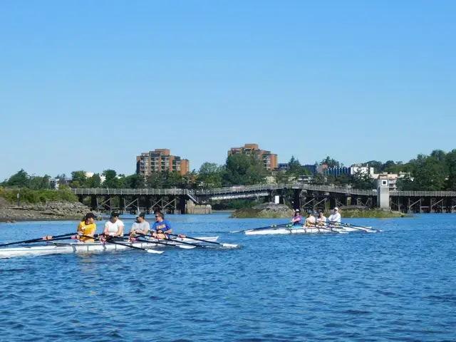 Two rowing teams race across a blue river near a wooden bridge, with city buildings in the distance.