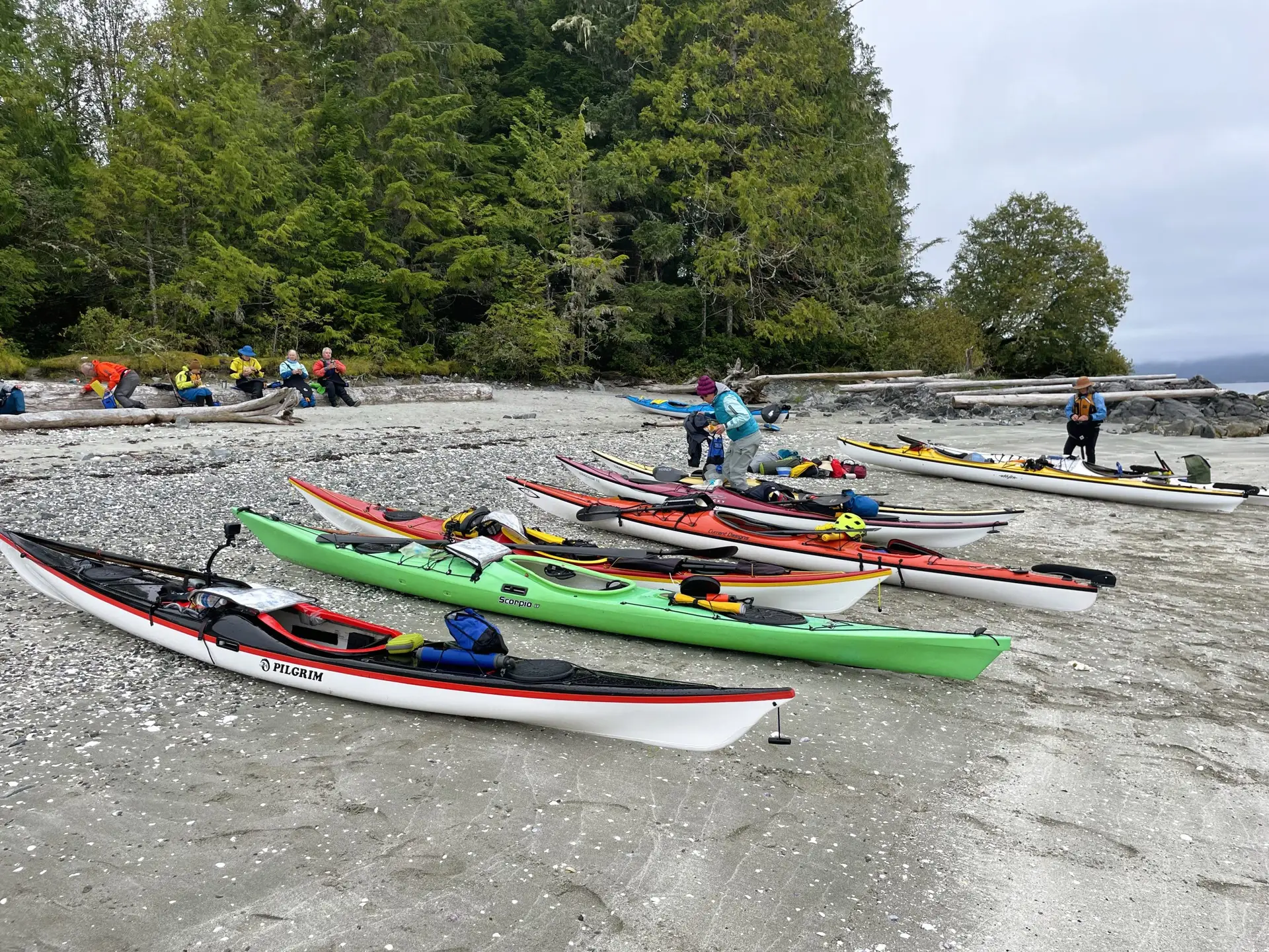 Colorful kayaks lined up on a pebbly beach with people in gear preparing to kayak and a dense green forest in the background.